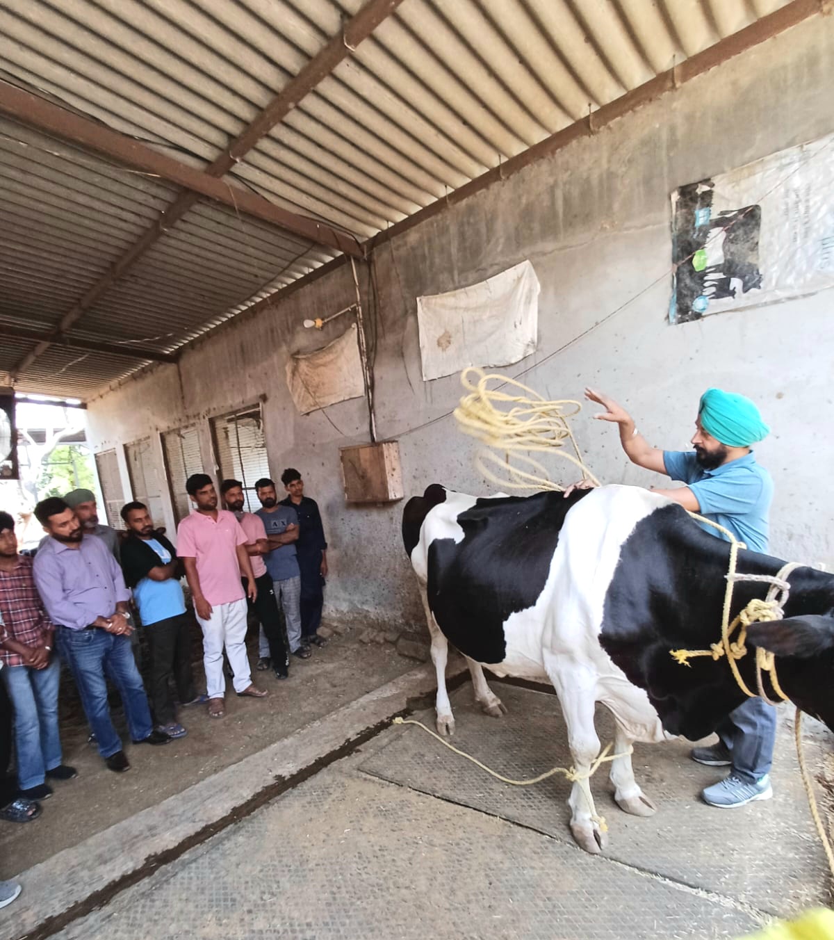 पीएयू-कृषि विज्ञान केंद्र, लंगारोआ ने 11 से 25 जून, 2024 तक "डेयरी फार्मिंग" पर व्यावसायिक प्रशिक्षण पाठ्यक्रम आयोजित किया।